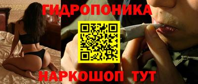 индика Ипатово