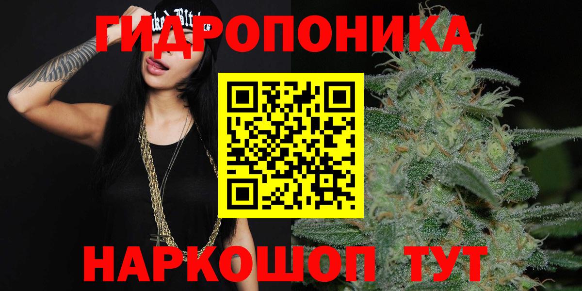 Марихуана гибрид Кудрово